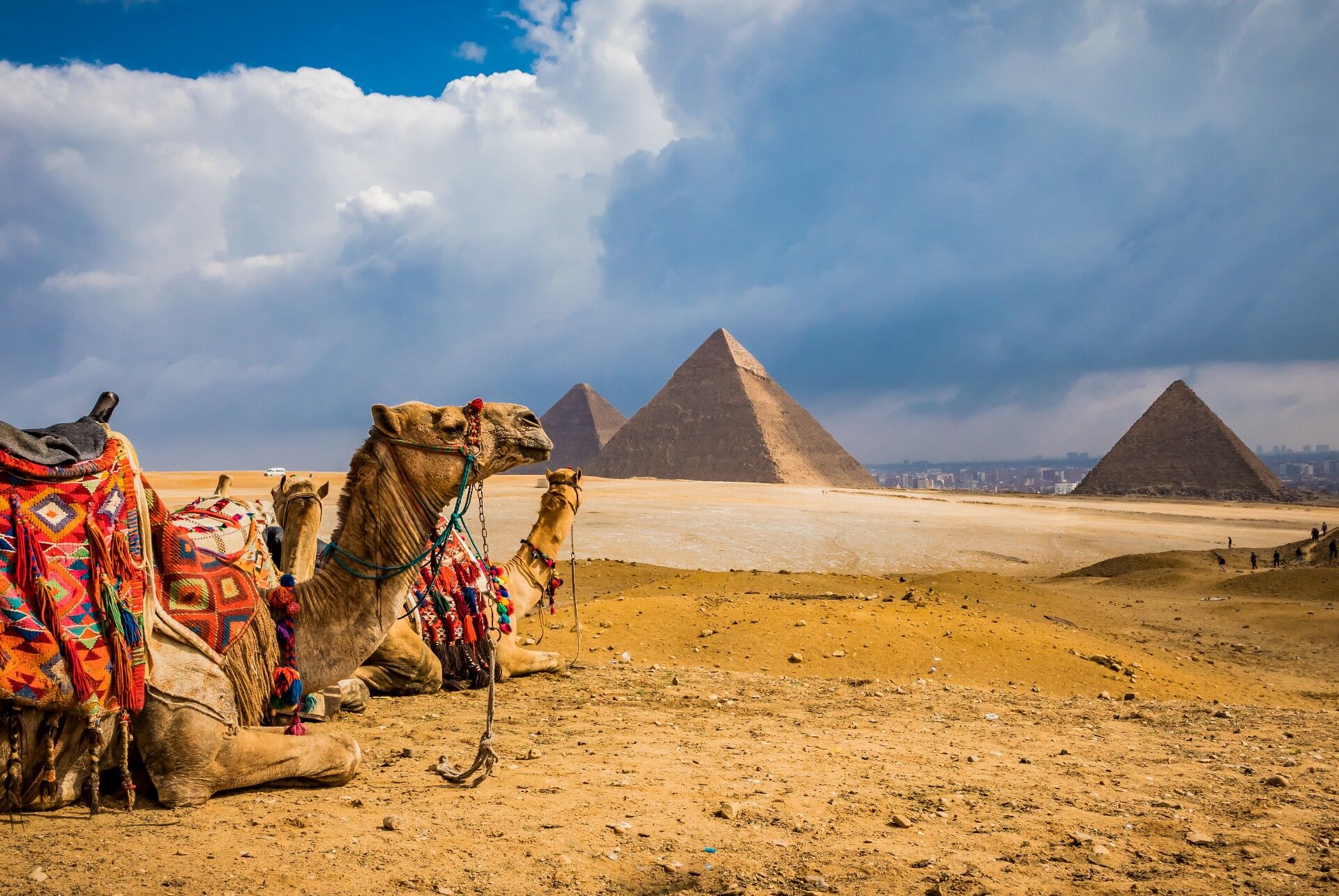 Как получить максимум впечатлений от поездки в Египет